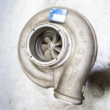 photo_2025-12-17_14-17-50 (2).jpg photo_2025-12-17_14-17-50 (2).jpg